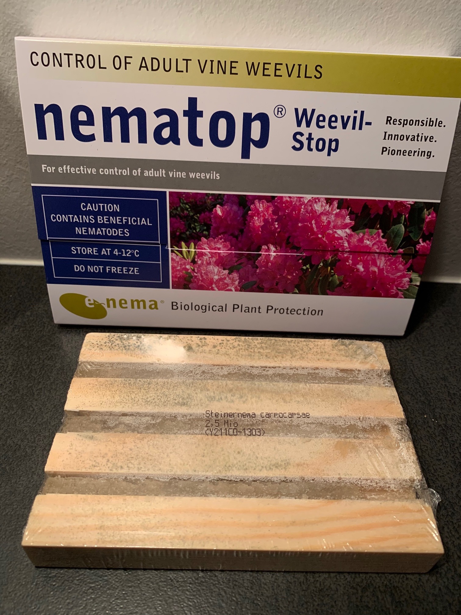 Øresnudebille Stop mod voksne biller